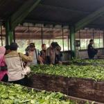 Agro Wisata Tambi