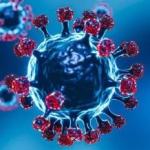 Varian Baru Covid