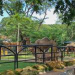 3 Kebun Binatang