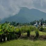 5 Wisata Populer di