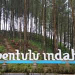 Ingin Liburan Murah