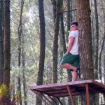 5 Wisata Hutan