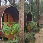 4 Glamping Unik dan