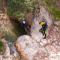 3 Tempat Canyoning